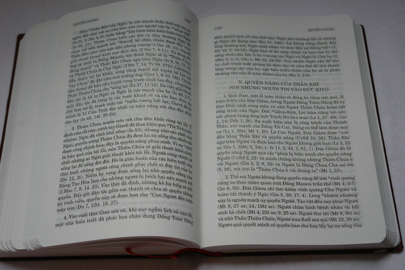 Điển ngữ thần học thánh kinh by Nguyen van ban Phap ngu / Vietnamese Dictionary of Biblical Theology / Vinyl Bound 2016 (9786046133155)