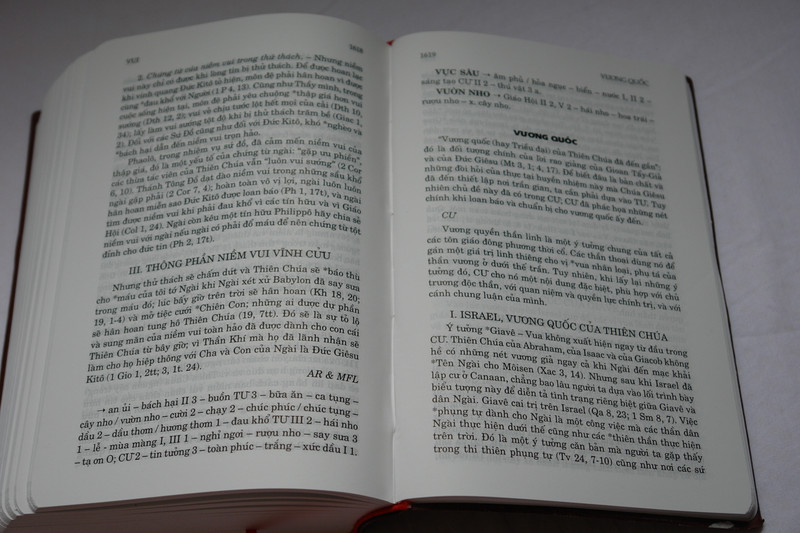 Điển ngữ thần học thánh kinh by Nguyen van ban Phap ngu / Vietnamese Dictionary of Biblical Theology / Vinyl Bound 2016 (9786046133155)