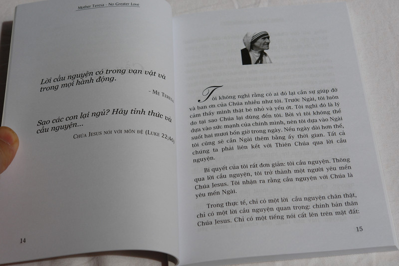 Me Teresa - No Greater Love (Vietnamese Edition) / Bién dich: Bich Nga - Ngoc Sáu Tren ca Tinh yeu / First News / Paperback 2016 (9786045829806)