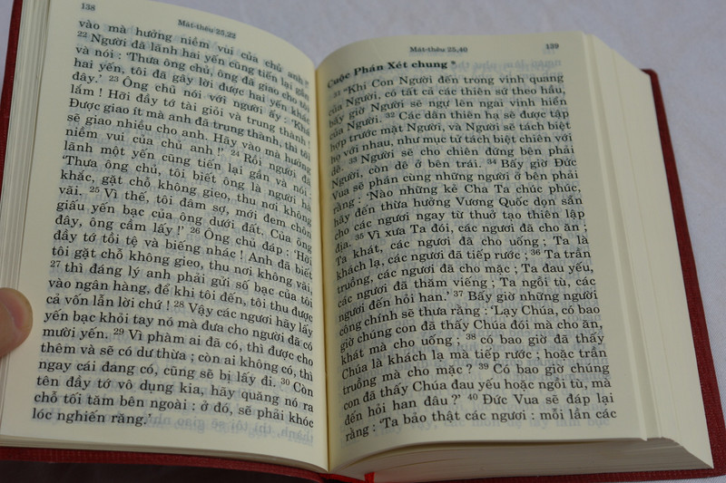  Mid Size Vietnamese New Testament / Kinh Thánh - tân ước / Brown-Vinyl Bound / NHÀ XUẤT BẢN TÔN GIÁO 2017 (9786046146186)