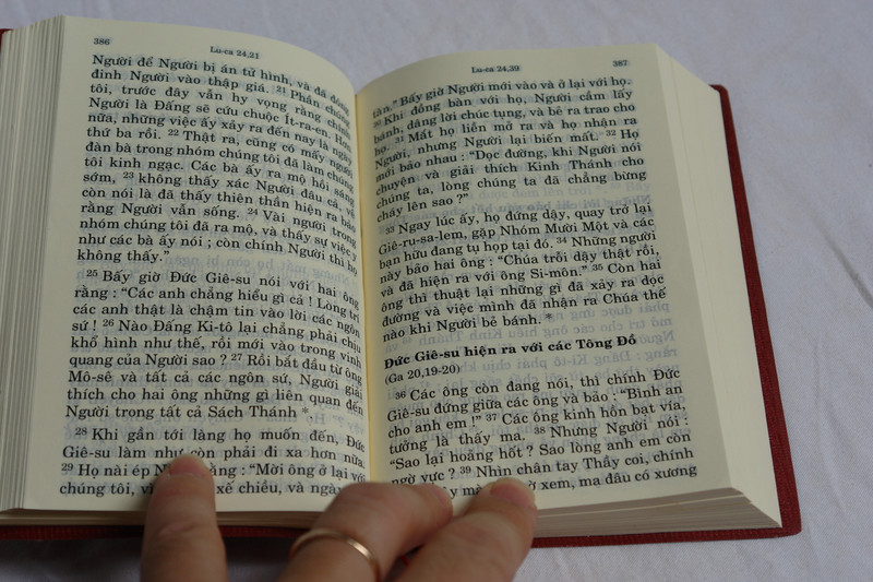  Mid Size Vietnamese New Testament / Kinh Thánh - tân ước / Brown-Vinyl Bound / NHÀ XUẤT BẢN TÔN GIÁO 2017 (9786046146186)