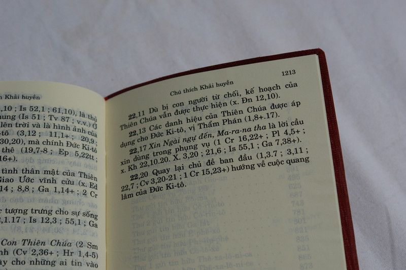  Mid Size Vietnamese New Testament / Kinh Thánh - tân ước / Brown-Vinyl Bound / NHÀ XUẤT BẢN TÔN GIÁO 2017 (9786046146186)