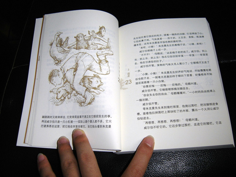 Charlotte's Web / E.B White / Chinese Edition [Paperback] by E.B White