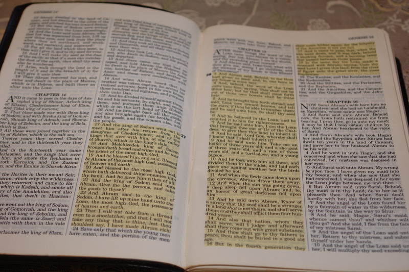 Holy Bible with Personal Commentary by Oral Roberts / Genuine Leather Bound - King James Version with Concordance 