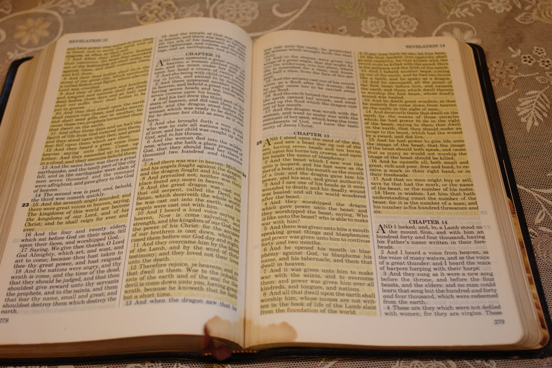 Holy Bible with Personal Commentary by Oral Roberts / Genuine Leather Bound - King James Version with Concordance 