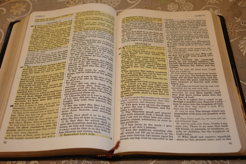 Holy Bible with Personal Commentary by Oral Roberts / Genuine Leather Bound - King James Version with Concordance 