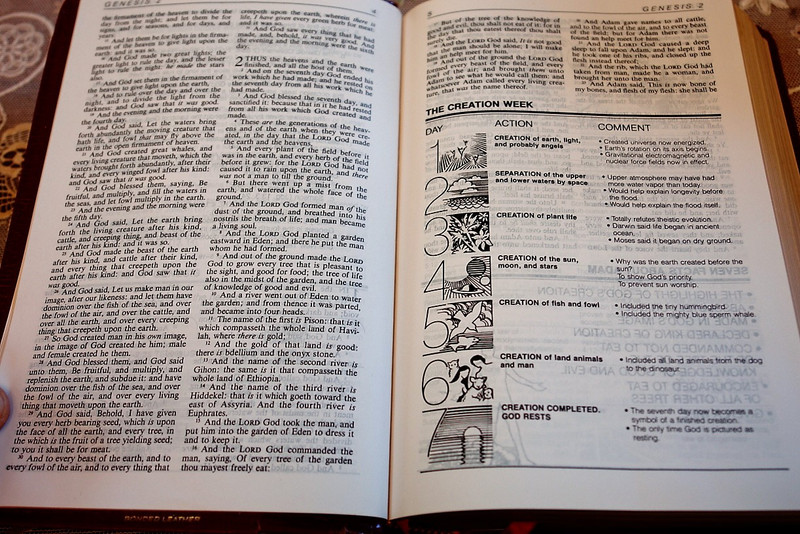 The Visualized Bible - King James Version / Supplementary Material by Harold L. Willmington / Burgundy Leather Bound (084237857X)