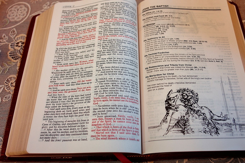The Visualized Bible - King James Version / Supplementary Material by Harold L. Willmington / Burgundy Leather Bound (084237857X)