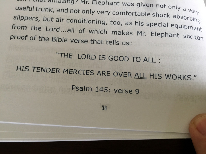 God's Amazing Animals Book 2 by Allegra McBirney សត្វដ៏អស្ចារ្យ / English - Khmer bilingual children's book / Paperback 2011 / Fount of Wisdom Publishing House / FOW0058 (FOW0058)