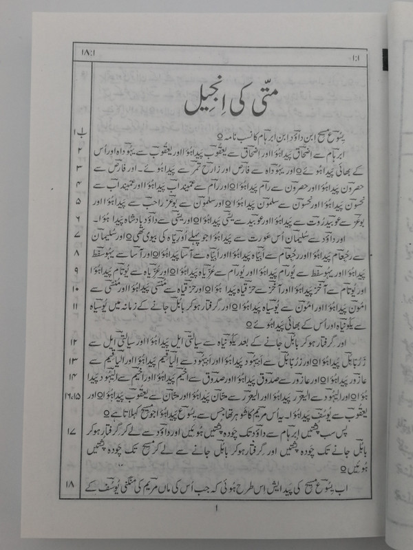 Urdu (Persian) New Testament / Pakistani Bible Society 2014 / Blue Vinyl Bound / Urdu NT (9692504336)