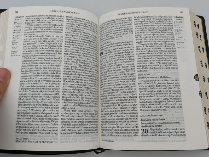 Czech language Holy Bible with golden edges & thumb index - Bonded Leather in Protective Box -/ Ecumenical translation / Pismo Svaté Starého a Nového Zakona / Český Ekumenický překlad / Česká biblicka společnost 2019 / Deuterocanonical (9788075450890)