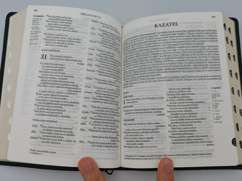 Czech language Holy Bible with golden edges & thumb index - Bonded Leather in Protective Box -/ Ecumenical translation / Pismo Svaté Starého a Nového Zakona / Český Ekumenický překlad / Česká biblicka společnost 2019 / Deuterocanonical (9788075450890)