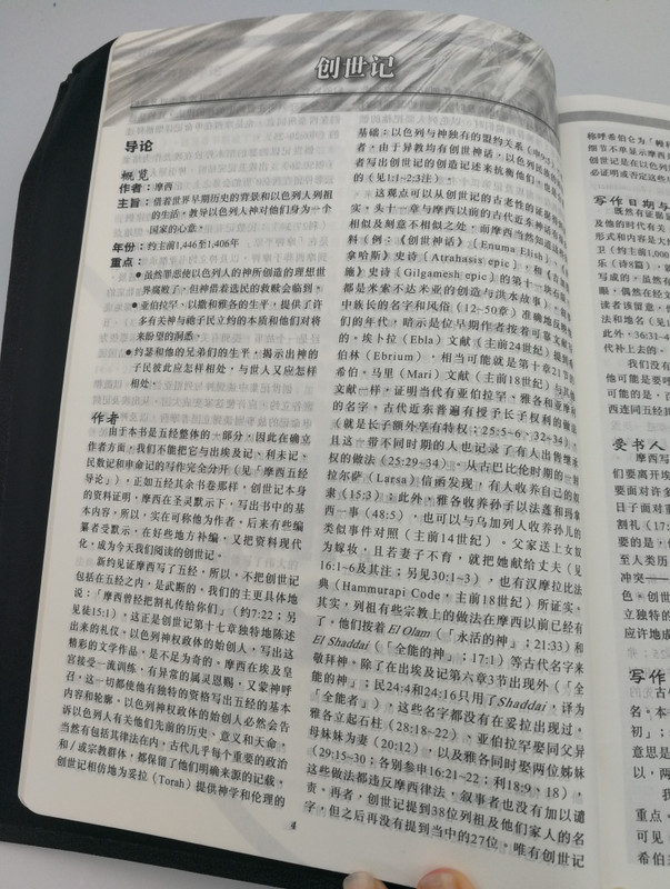 CNV Study Bible - Large Size Chinese New Version Study Bible with Golden Edges - Simplified script / Shen Edition / Worldwide Bible Society 2017 / 3rd edition - Leatherbound (9789888124213