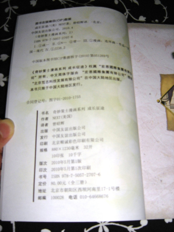 Manga Metamorphosis: CHINESE Translation / The Journey of Growing Up
