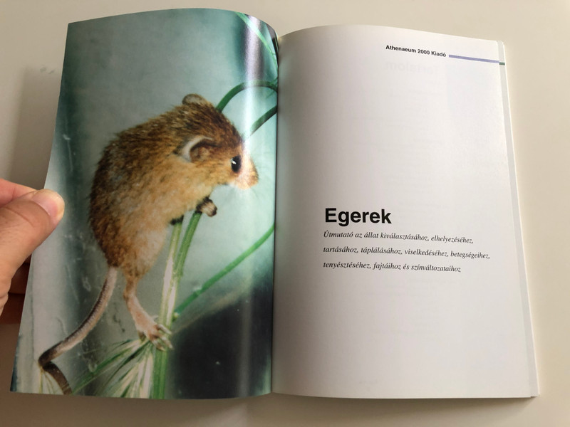 Egerek - Kisállatkalauz / Hungarian edition of De Muis -book about mice as pets / Útmutató az állat kiválasztásához, tartásához / Athenaeum kiadó 2004 / Translated by Péter Pongrácz (9639471632)