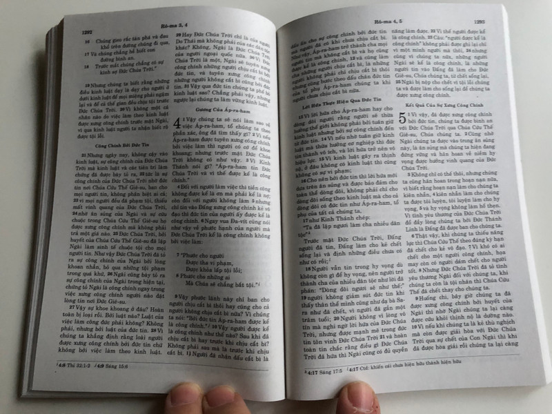 Vietnamese New Testament (Special Edition) - New Translation / Kinh thánh Tân ước - bản dịch mới / Gute Botschaft Verlag 2005 / Paperback / GBV 62200 / Vietnam NT (GBV62200)