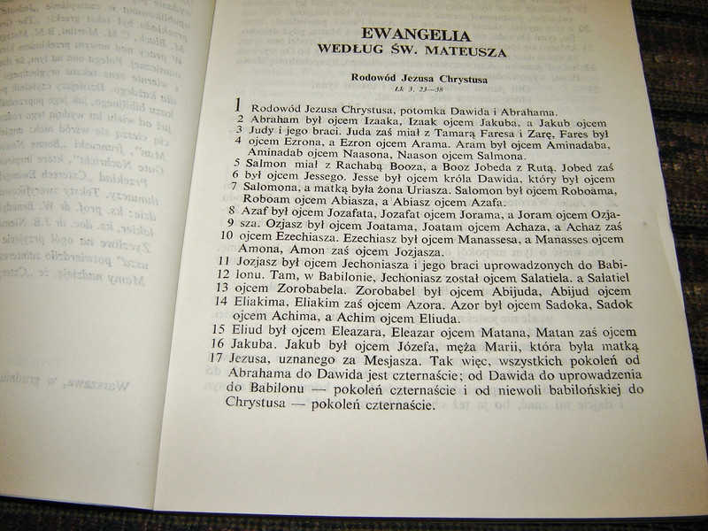The Four Gospels in Polish with illustrations / Cztery Ewangelie Wspolczesny przeklad z jezyka greckiego