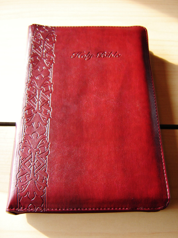Chinese English Bible | New Chinese Version - ESV English Standard Version (Leather Binding)