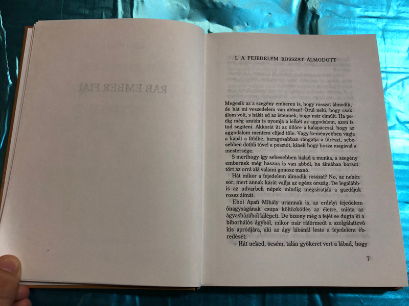 Rab ember fiai - Dióbél királyfi by Móra Ferenc / Holnap Kiadó 1996 / HO 424 / Hardcover / Hungarian Classic writer Ferenc Móra (9789633461457)