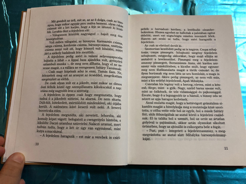 Rab ember fiai - Dióbél királyfi by Móra Ferenc / Holnap Kiadó 1996 / HO 424 / Hardcover / Hungarian Classic writer Ferenc Móra (9789633461457)
