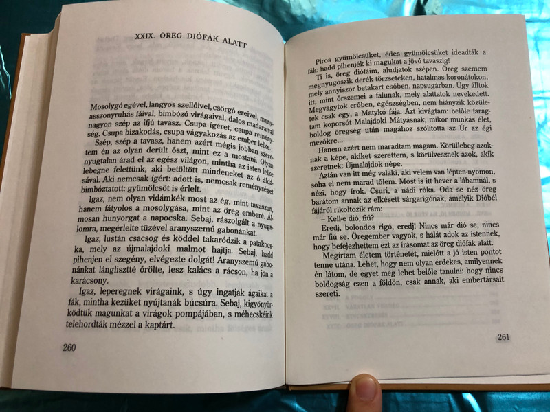 Rab ember fiai - Dióbél királyfi by Móra Ferenc / Holnap Kiadó 1996 / HO 424 / Hardcover / Hungarian Classic writer Ferenc Móra (9789633461457)