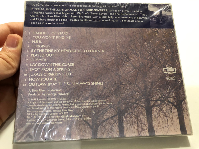 Peter Bruntnell – Normal For Bridgwater / Free from mental or emotional disorder - forming verbs and their derivative meaning, market town in Somerset / Slow River Records Audio CD 1999 / SRRCD 43