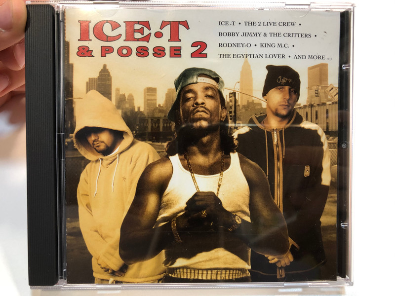 Ice-T & Posse 2 / Ice-T, The 2 Live Crew, Bobby Jimmy & The Critters, Rodney-O, King M.C., The Egyptian Lover, and more... / Dance Factory Audio CD 1996 / DFR 02-7225-2