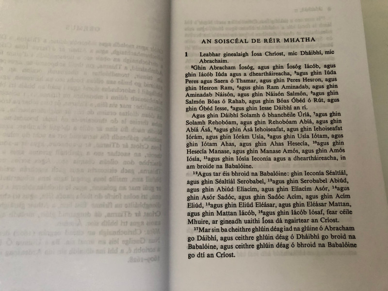 Tiomna Nua ar dTiarna agus ar Slanaitheora Iosa Chriost - New Testament in Irish Gaelic (9780953308224)