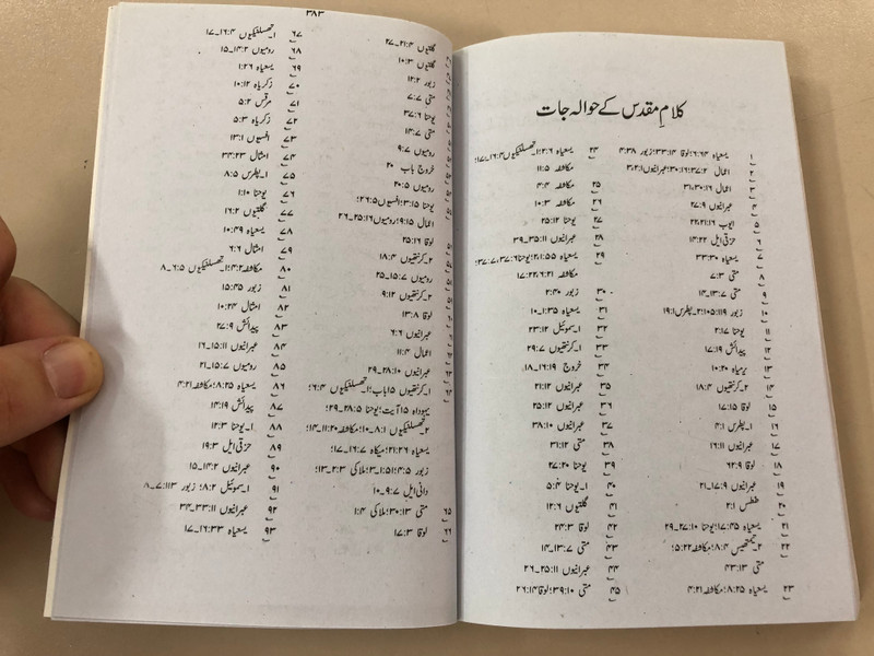 The Pilgrim's Progress in Urdu Language / John Bunyan / From This World to That Which Is to Come / Paperback 2015 (CM-1U3C-6IKE)