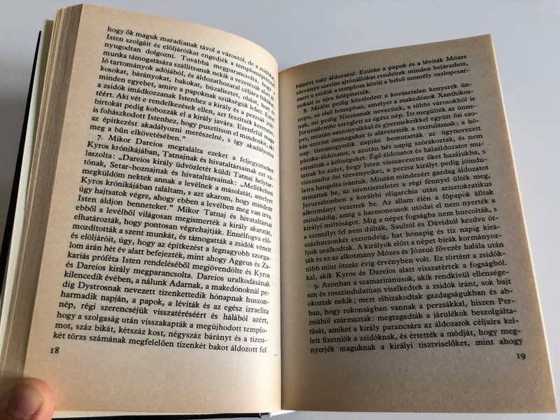 A Zsidók Története (XI-XX.) by Josephus Flavius / Hungarian edition of Antiquities of the Jews (vol 11-20) / Talentum kiadó / Hardcover (9789638396129)