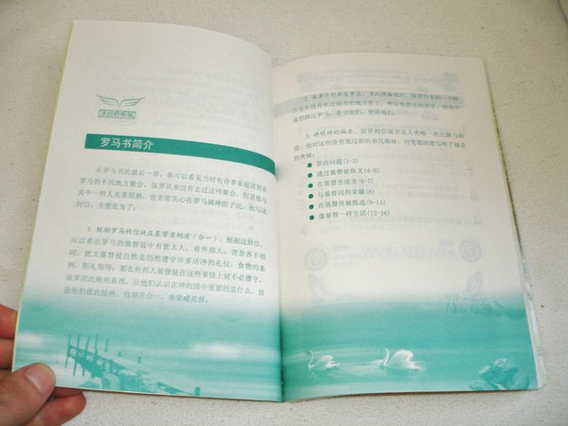 Paul's Epistles recorded in Chinese language on MP3 CD with a chapter by chapter workbook