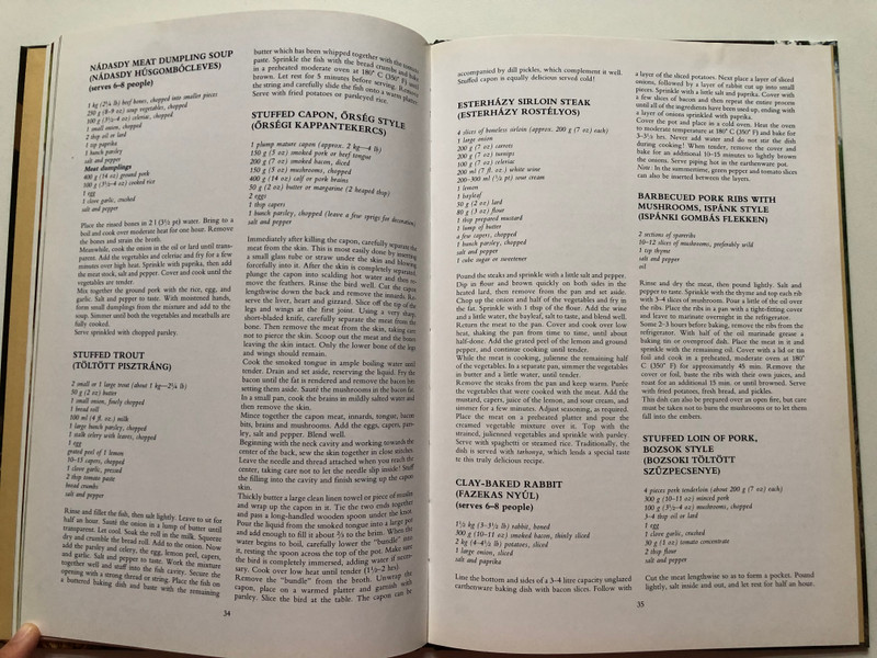 Sopron and Environs by Zoltán Halász, Károly Hemző / A taste of Hungary / English edition of Sopron környéki ízek / Corvina Publishing / Hardcover 1989 (9631327698)