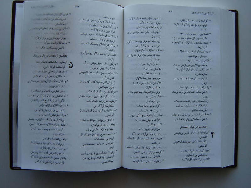 Azerbaijani of Iran New Testament with Psalms and Proverbs / New Translation Persian Script
