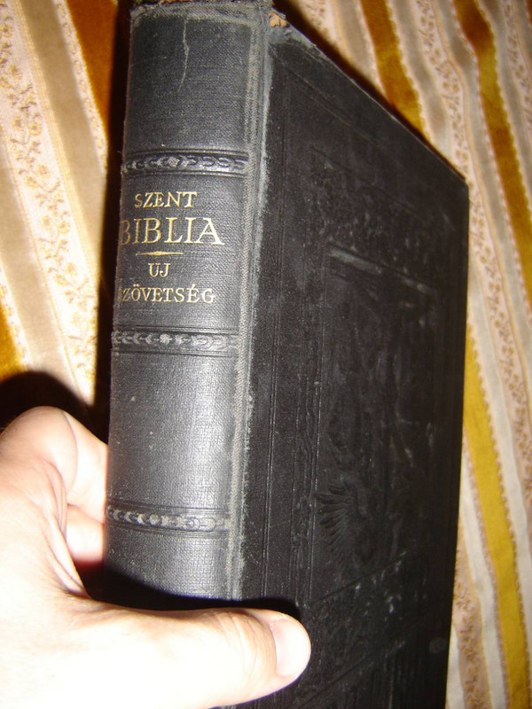 Hungarian Catholic Illustrated New Testament / Ujszovetsegi Szentiras a Vulgata Szerint Kepekkel