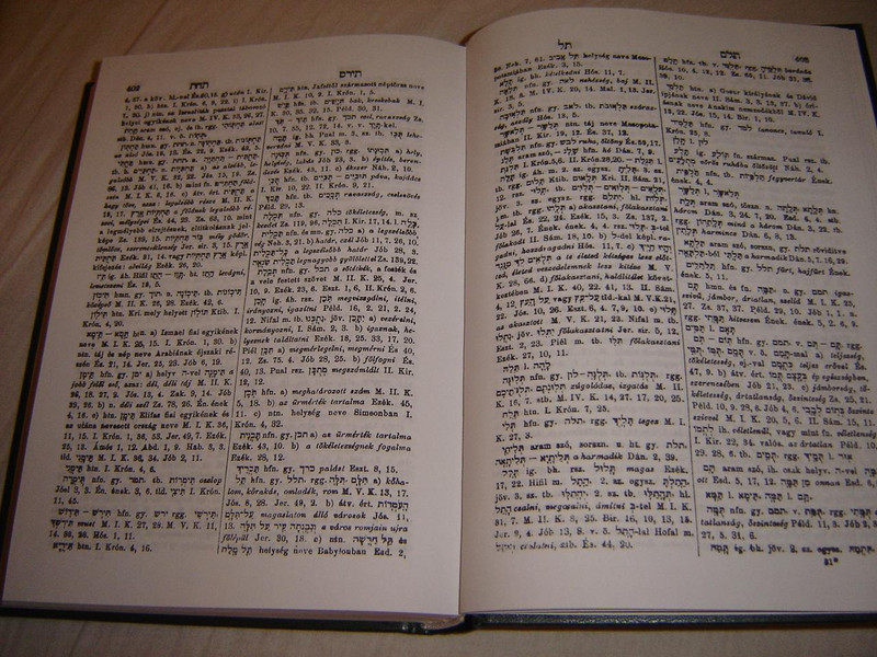 Hebrew - Hungarian Dictionary / Heber - Magyar Szotar / by Pollak Kaim 
