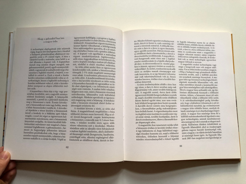 Gőzmalmok a Duna partján  Klement Judit  Sorozat Mesél a Város  Holnap Kiadó  2010 (9789633469460)