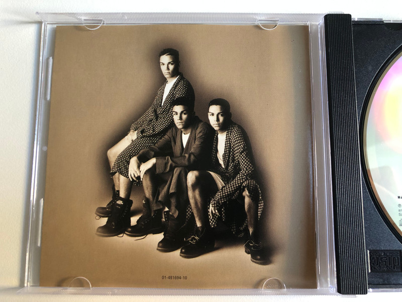 3T – Brotherhood  Sony Music, Epic, MJJ Music CD Audio 1995 (5099748169426