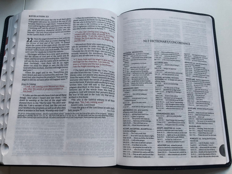 Large Print NLT Bible - Premium slimline reference / Black/Onyx Leatherlike with thumb index and silver edges / Personal Size Bible / New Living Translation / Tyndale House Publishers 2013 / Red letter editon (9781414397634)
