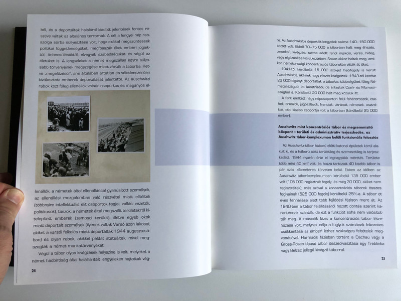 Az Auschwitz album Egy transzport története / Gutman Israel, Gutterman Bella /The Auschwitz Album: published in association with the Yad Vashem, Auschwitz-Birkenau 2005 / Hungarian Edition (9789639046962)