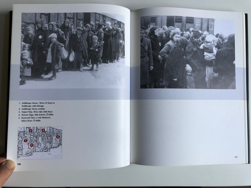 Az Auschwitz album Egy transzport története / Gutman Israel, Gutterman Bella /The Auschwitz Album: published in association with the Yad Vashem, Auschwitz-Birkenau 2005 / Hungarian Edition (9789639046962)
