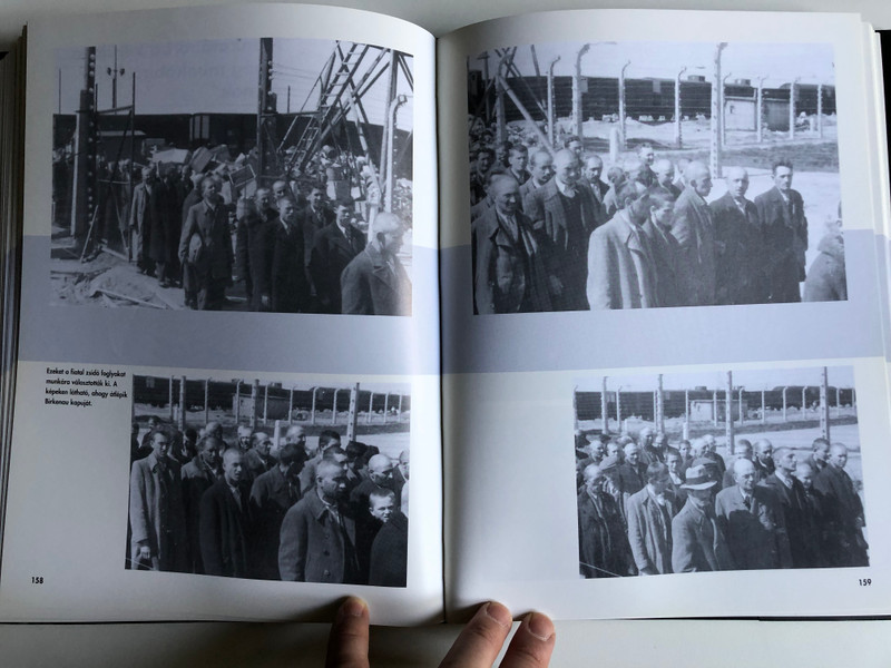 Az Auschwitz album Egy transzport története / Gutman Israel, Gutterman Bella /The Auschwitz Album: published in association with the Yad Vashem, Auschwitz-Birkenau 2005 / Hungarian Edition (9789639046962)