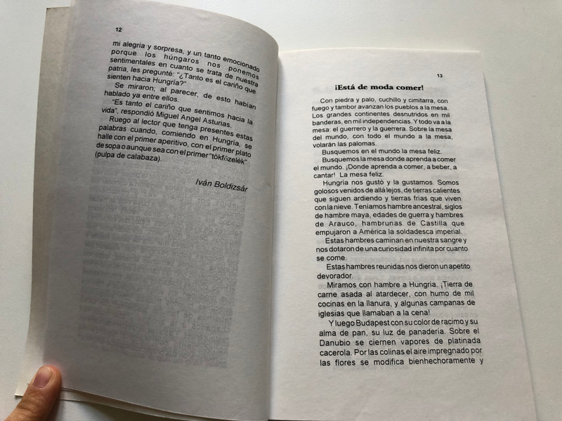 Comiendo en Hungría - Miguel Angel Asturias, Pablo Neruda (ESPECIALES) (Spanish Edition)  Paperback 1996 (9788493832735