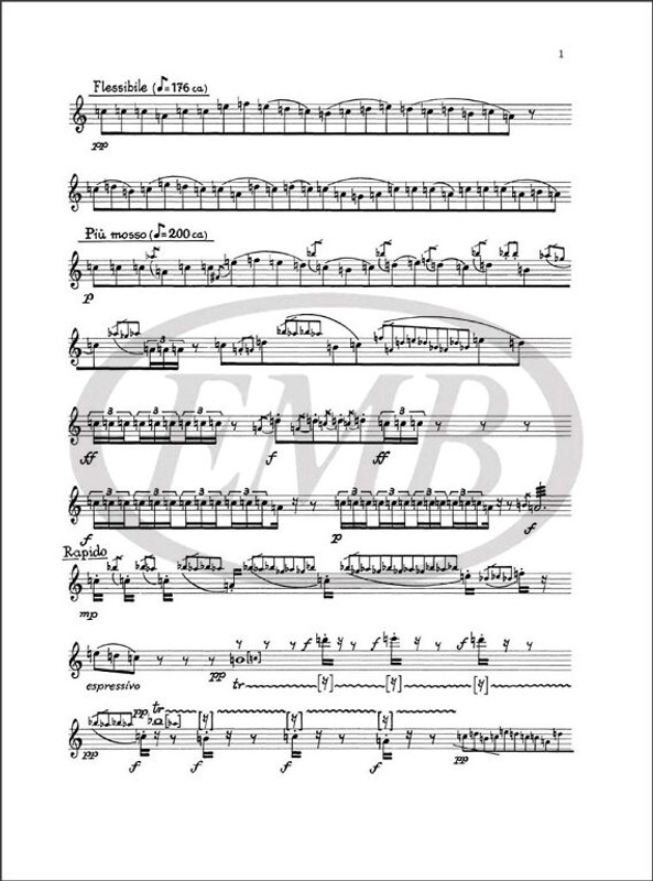 Castiglioni, Niccolo: MUSICA VNEUKOKVHAJA, PER OTTAVINO (1965-1981) / Ricordi Americana / 2002