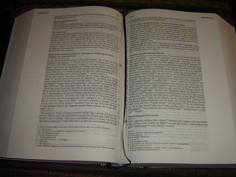 The German Hebrew - Greek Key Study Bible / Elberfelder Studienbibel: Mit Sprachschlüssel und Handkonkordanz