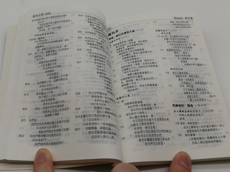 Chinese Analytical Layout Bible: New Testament with Psalms and Proverbs / 聖經分析排版本（新約全書•附詩箴）/ Bible Exposition Society Ltd. 2004 / Papercover, Mid Size / CALNTPP06