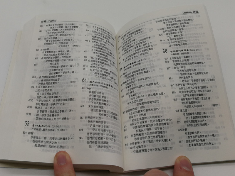 Chinese Analytical Layout Bible: New Testament with Psalms and Proverbs / 聖經分析排版本（新約全書•附詩箴）/ Bible Exposition Society Ltd. 2004 / Papercover, Mid Size / CALNTPP06