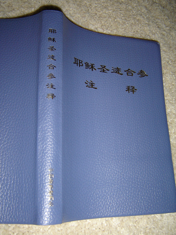 The Life of Christ / The Four Gospels with Study Notes and Explanations in Chinese Language