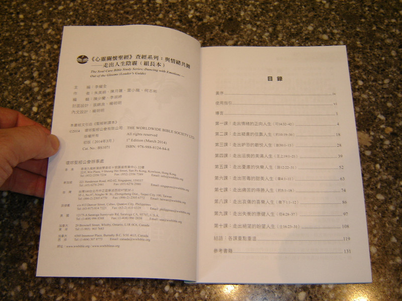 The Soul Care Bible Study Series: Dancing with Emotions - Chinese Language Edition
