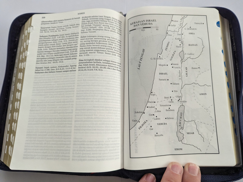 Indonesian Bible with Church Hymnal  ALKITAB - DENGAN KIDUNG JEMAAT  LEMBAGA ALKITAB INDONESIA JAKARTA  TB2 Standard Index Imitation Leather (9786022871965)