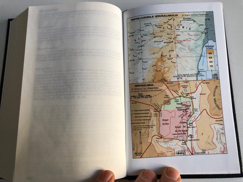 BIBLIA SAU SFINTA SCRIPTURĂ - VECHIUL ŞI NOUL TESTAMENT  BIBLES & PUBLICATIONS CHRÉTIENNES (30, rue Châteauvert F 26000 Valence) 2002  Hardcover